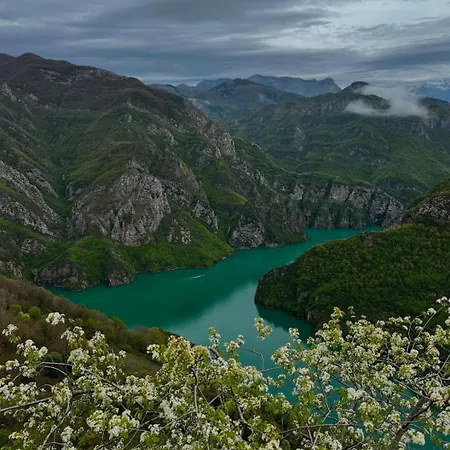 Bed and Breakfast Riza Polisi i Vogel