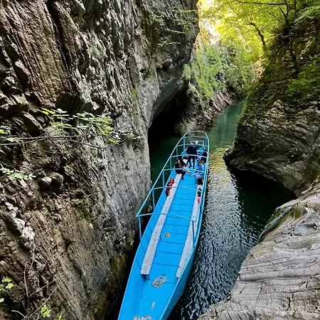 Riza * Polisi i Vogel