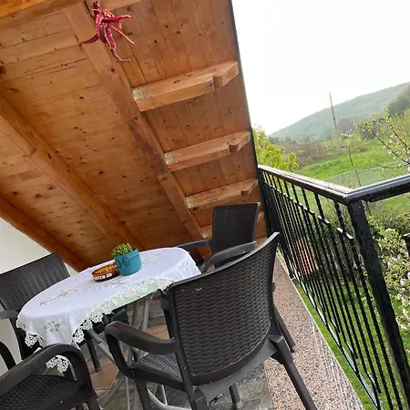 Riza * Polisi i Vogel