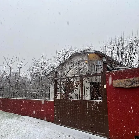 Riza * Polisi i Vogel