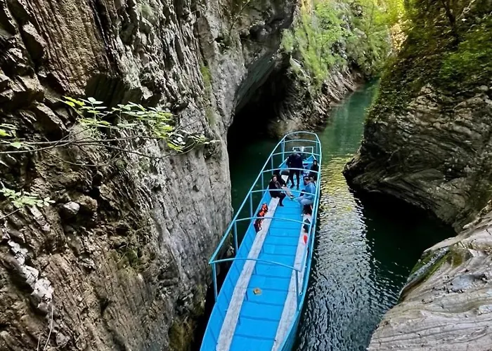 Riza * Polisi i Vogel