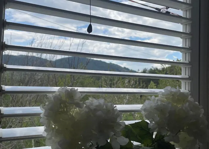 Nocleg ze śniadaniem Riza Polisi i Vogel