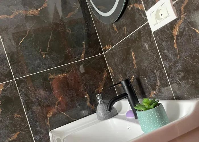 Riza * Polisi i Vogel