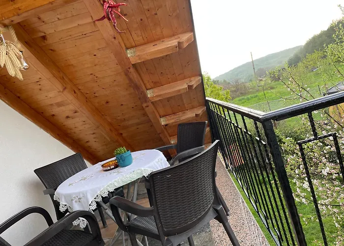 Riza * Polisi i Vogel