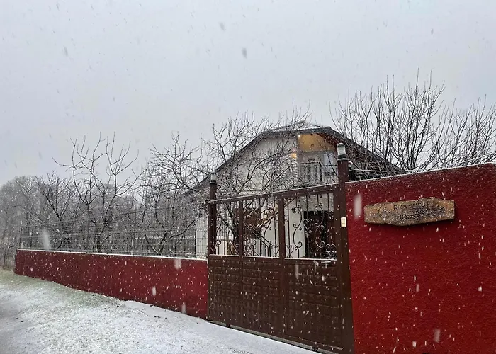 Riza * Polisi i Vogel